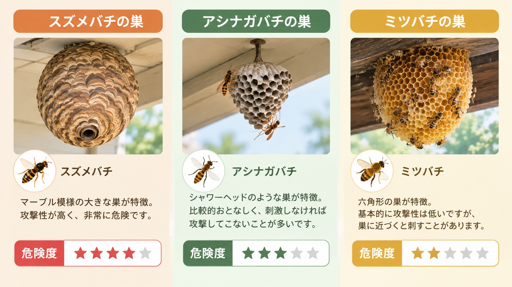 スズメバチ・アシナガバチ・ミツバチの巣の特徴と危険度を比較したイラスト